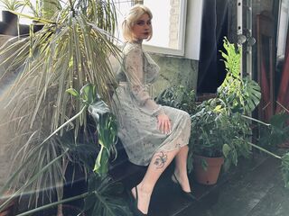free live webcam picture NikaRocks